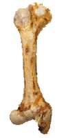 Dog Snacks Jumbo bone (Jumboknochen) 1 Piece Anifit